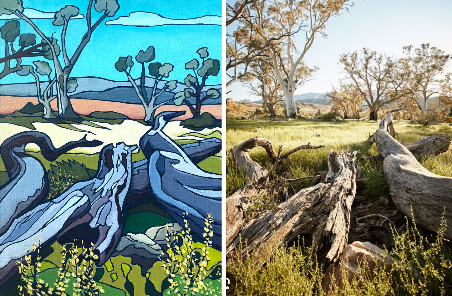 Australian landscape - Flinders Range