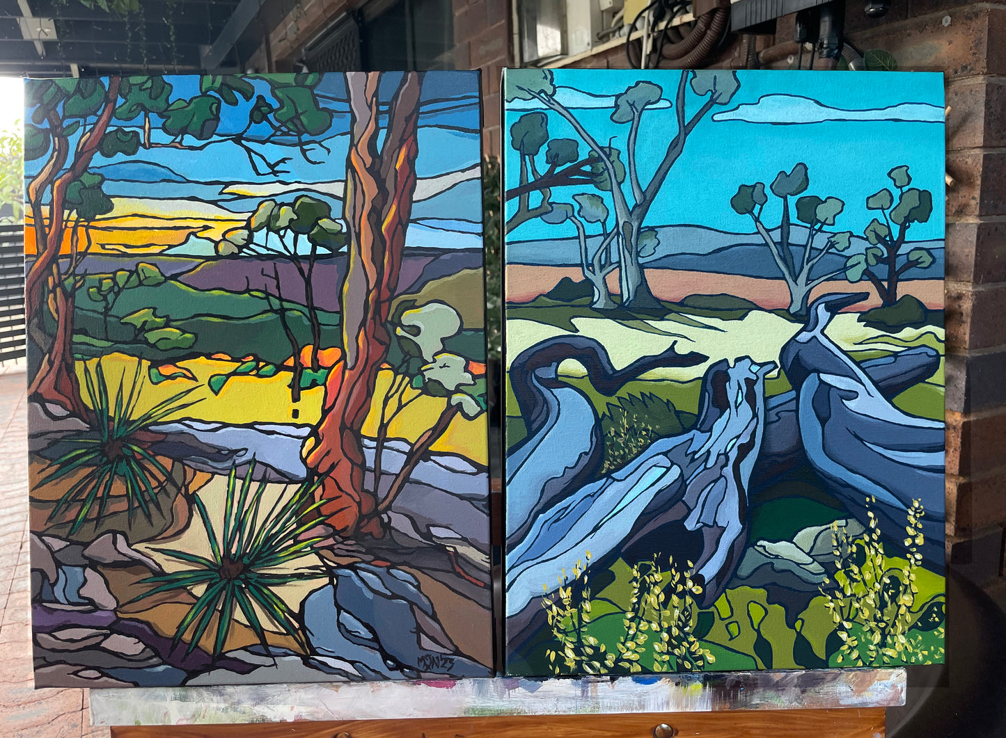 Australian landscape - Flinders Range