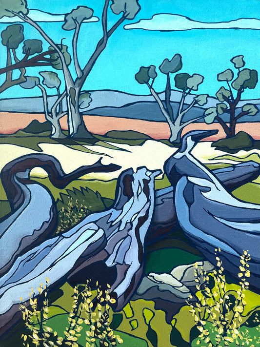 Australian landscape - Flinders Range